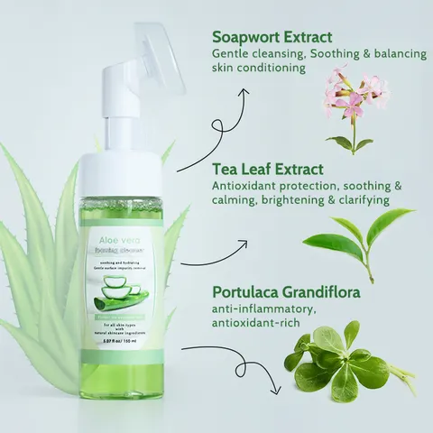 Organic Soothing Skin Care Moisturizing All Skin Types Aloe Vera Foaming Face Wash Facial Cleanser