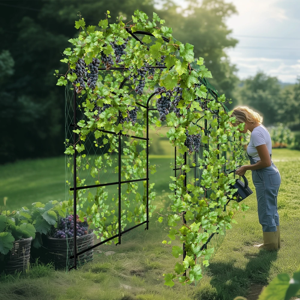 kf-S0ff8b7fe39e04e2eac699673b2eed338j Garden Plant Climbing Frame U-Shaped Garden Trellis for Climbing Plants Vegetable - Image 1