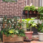 Large Raised Garden Bed Wooden Planter Box with Trellis Vegetable Grow Bed Support Patio Lattice for Outdoor Indoor - Image 2