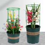 3/6/9/12Sets Plant Support Pile Stand Flowers Plant Arrangement Fixing Rod Plants Stake for Garden Supplies Home Yard Planting - Image 5